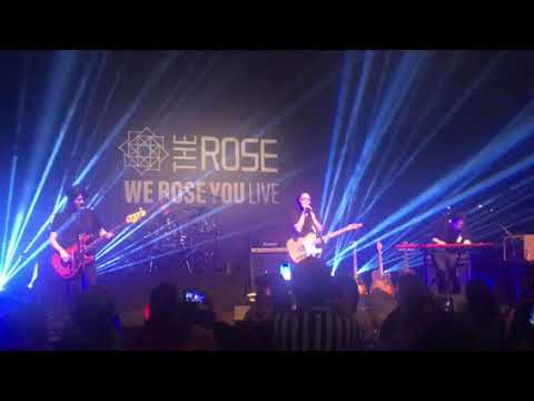 The Rose Sorry- Minneapolis