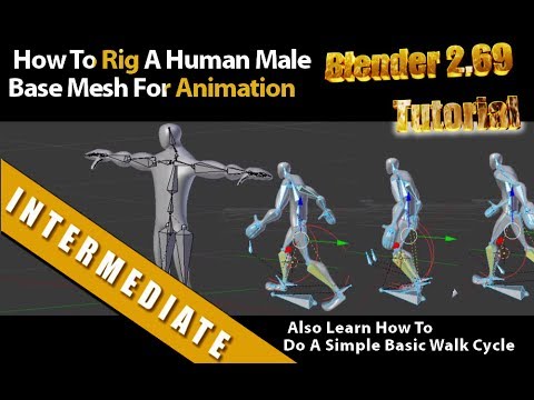 How To Rig A Human Male Base Mesh For Animation In Blender 2.69