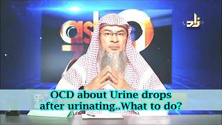 OCD about urine drops after urinating, what to do? - Sheikh Assim Al Hakeem