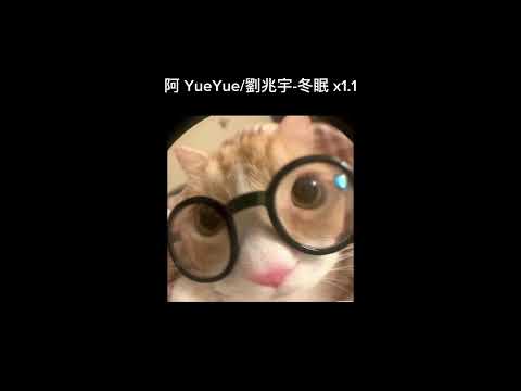 阿 YueYue/劉兆宇-冬眠 x1.1 (sped up)