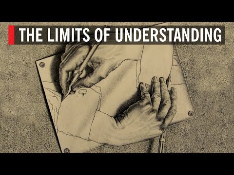 The Limits of Understanding Video