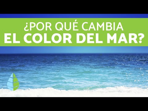 Why does seawater change color? - Sea color