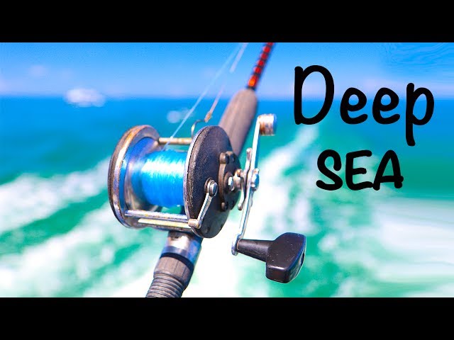 Deep Sea Fishing Adventure!! (Tropical Fish)
