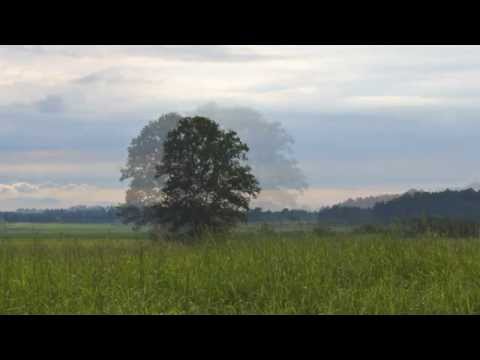 Ance Krauze, Andris Ērglis un koris "Laiks" - Zaļā zeme