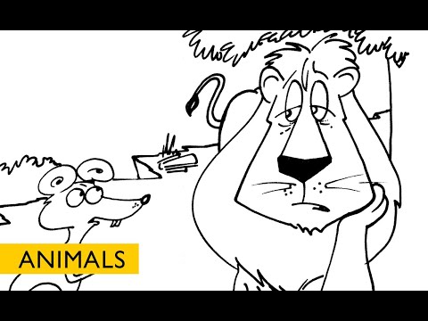 Stories for Kids: The Royal Toothache