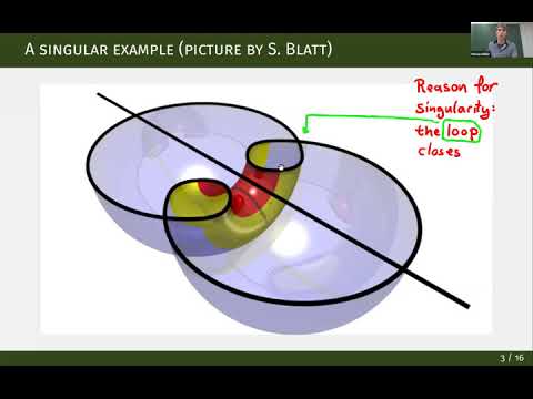 Marius Müller - The Willmore Flow of Tori of Revolution