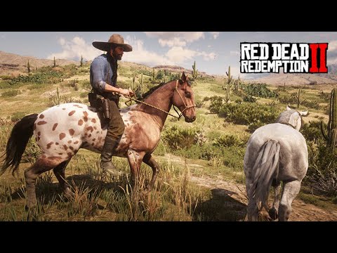A FAZENDA DO JOHN MARSTON - Domando os CAVALOS DO DESERTO - Red Dead Redemption 2