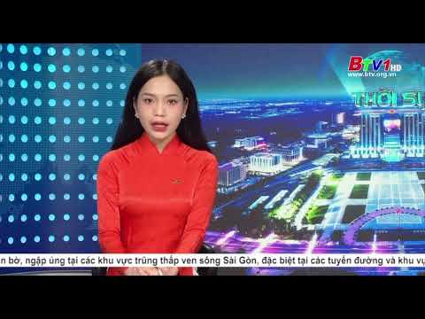 Bản Tin Thời Sự & Chính Luận Truyền Hình
