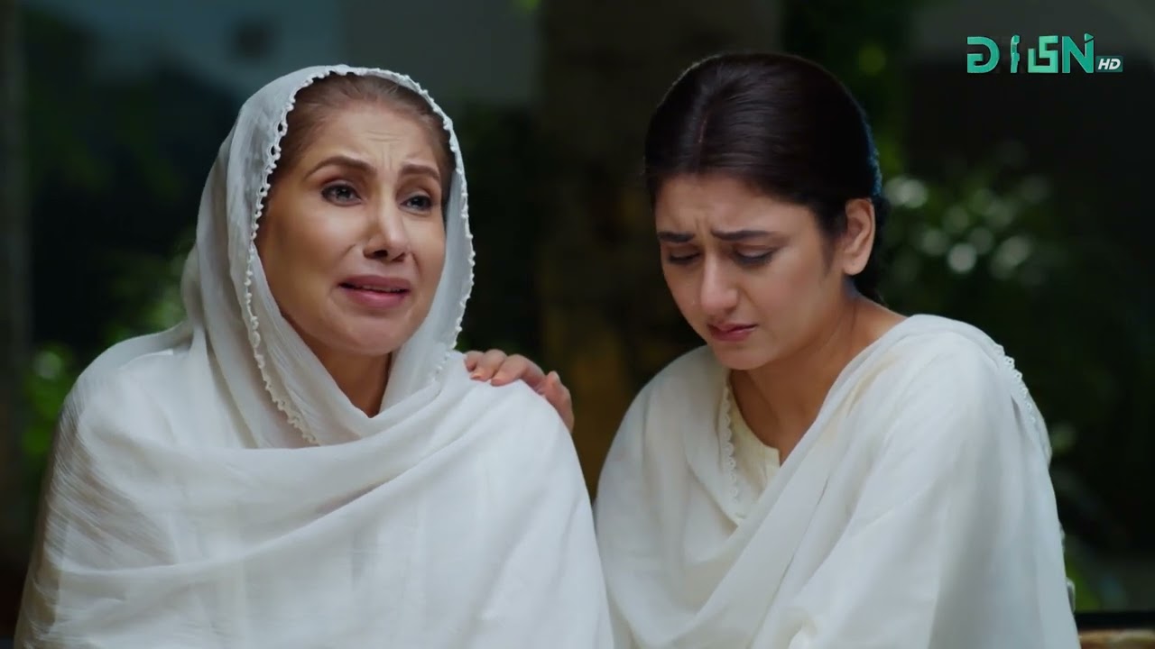 Aik Bhool Episode 75 | Best Moment 04 | Green TV Entertainment