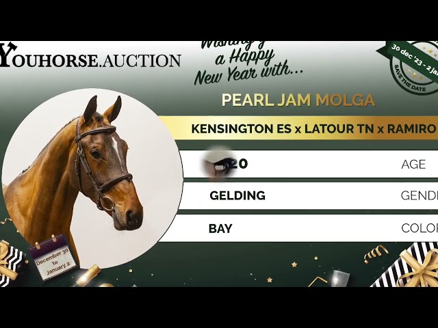 Pearl Jam Molga @ training