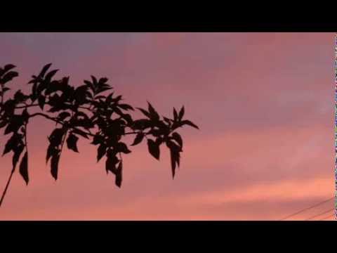 Zobacz jak pięknie  -  Mira Kubasińska & After Blues.