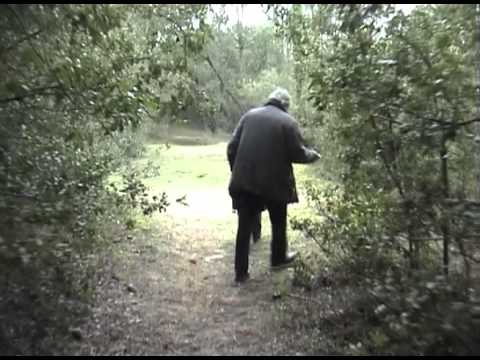 Vagues barbares (2007) by Gérard Courant