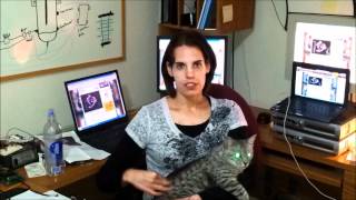 Kickstarter Update Week #2