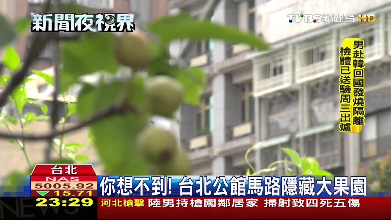 你想不到！　台北公館馬路隱藏大果園