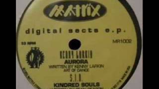 Kenny Larkin - Aurora(Matrix Records) 1993 Rare Detroit Techno!