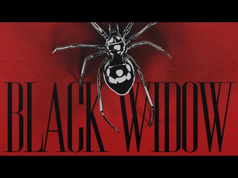Alok & Kickbait & CERES - BLACK WIDOW (Official Audio)