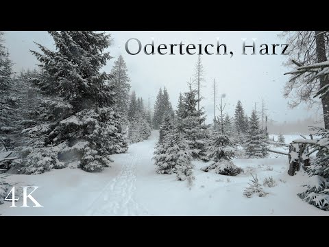 Extreme snowfall, Winter Thunderstorm, Hiking in Deep Snow, Harz Mountains, Oderteich 4K