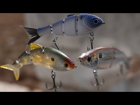 Best Micro BFS Swimbaits for Bass? Underwater Footage – SPRO, Bucca Lil Baby, Eurotackle Nage