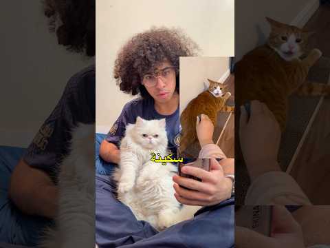 ايش راح يسوي سمبوسة اذا جربت عليه سكين وهمي !