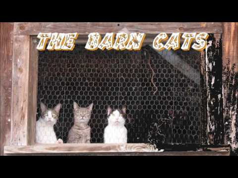 Have a ball - The Barn cats