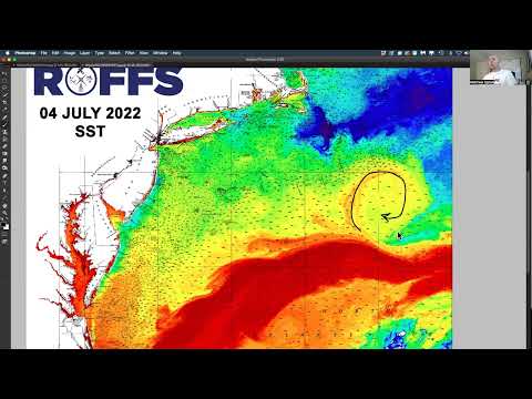 Northeastern U.S. Ocean Conditions Update - 7/5/2022
