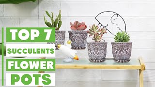 Best Flower Pots for Succulents: Top Picks for Healthy Growth