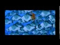 Suddenly A Fish Tale