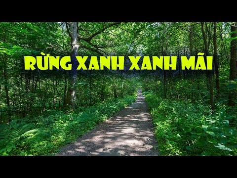 Thể hiện bởi Trịnh Vĩnh Trinh
