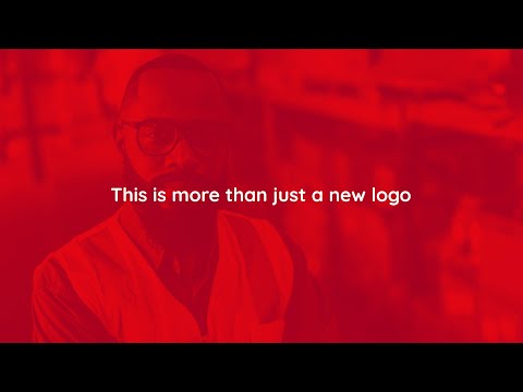 Vigo Brand Launch Animation