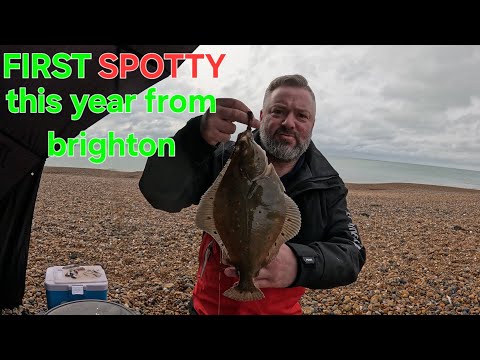 1ST PLAICE caught at brighton, My technique is improving