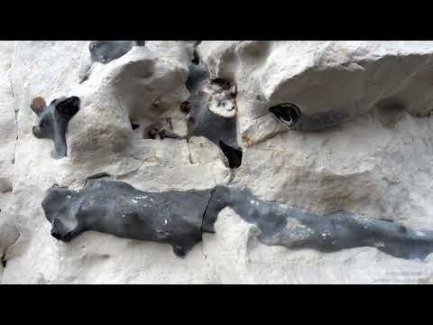 Falaise #19 | Fossil | 20220424