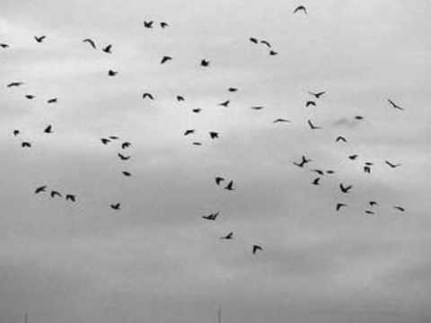 Δήμητρα Γαλάνη - Addio addio amore (Αντίο αντίο αγάπη)