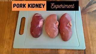 Pork Kidney Experiment