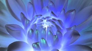 Antonio's Song - Michael Franks