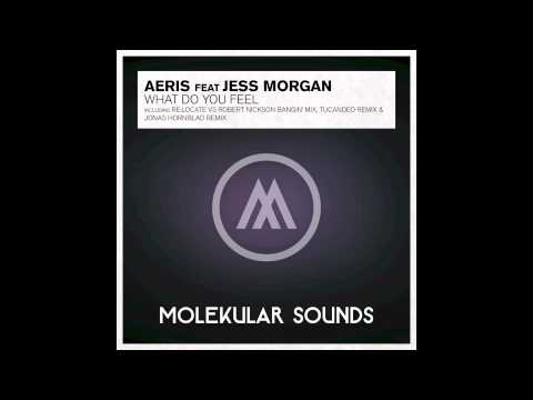 Aeris feat. Jess Morgan - What Do You Feel Paul Moelands & Robert Nickson original mix