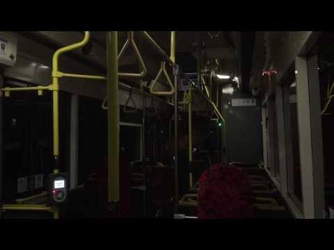 STA Sydney m/o 3846 - Scania L113CRL (ZF)