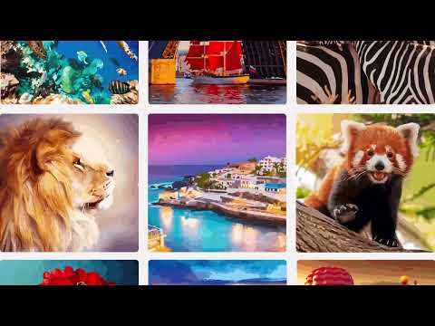 Color by Number for Adults Video