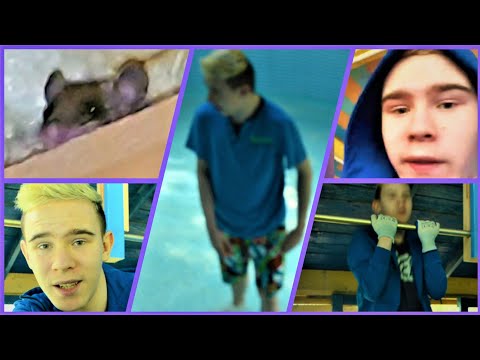 O SAPTAMANA LA BARASTII ILIEI