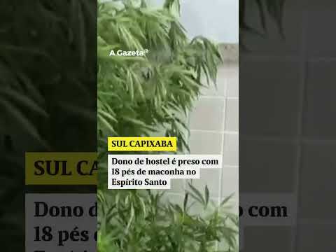 Dono de hostel é preso por cultivo de maconha em Divino de São Lourenço  #shorts #noticias