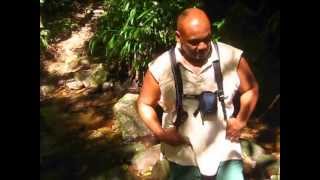 preview picture of video 'An Eco Adventures Dominica Hike Pt 1 of 2'