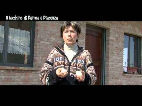 Provoca osteocondrosi attivo Movimento del giunto attivo con lussazione