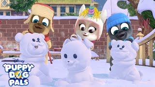 Bingo and Rolly's Winter Wonder Wish List | Puppy Dog Pals | Disney Junior