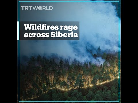 Wildfires rage in Siberia