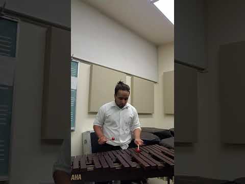 David Lemoine Black and White Rag