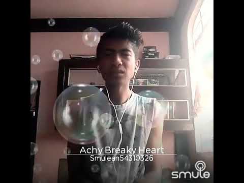 Bonventure(cover achy breky heart)