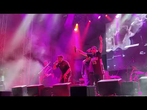 Resorte Quien Se Robo?? Vive Latino