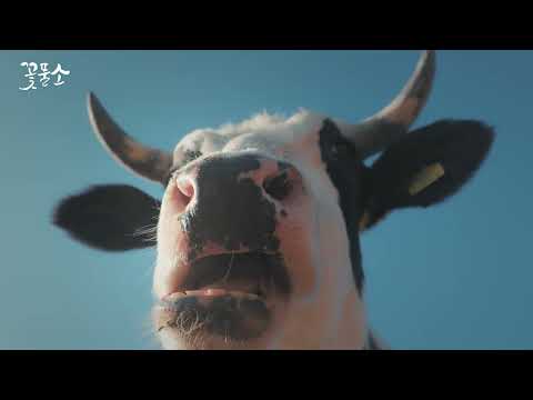 꽃풀소 Flower Cow│한국경쟁 Korean Competition│16TH DMZ Docs Trailer 예고편