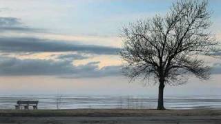 Marissa Nadler &quot;Rosary&quot; Official Music Video