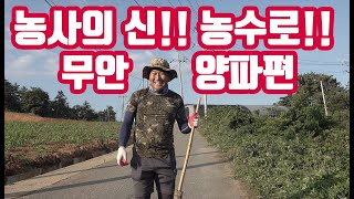 농사의 신 1편!! 무안 양파 재배사 농수로!!! 아침의 시작!!! 농사는 변수가 많다!!
