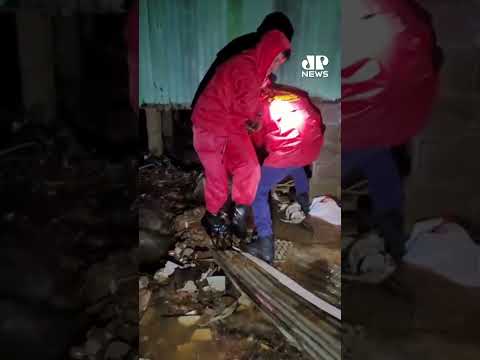 Bombeiros resgatam cão ilhado durante fortes chuvas em Erechim (RS); assista #Shorts
